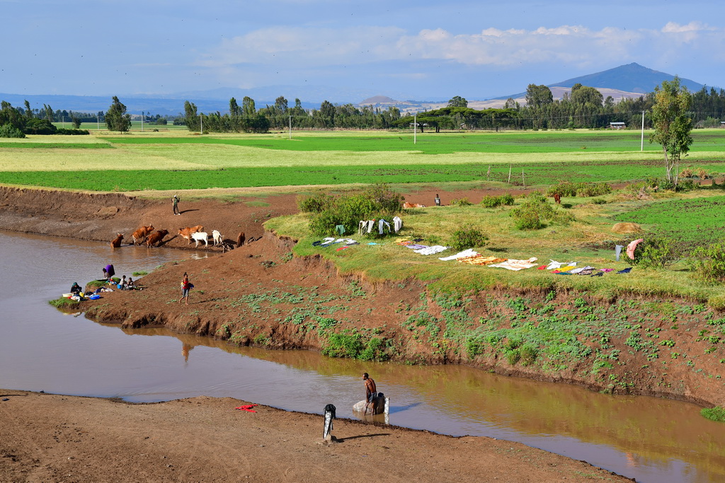 Source of the Awash River